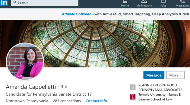 Amanda Cappelletti Linkedin