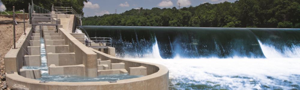 Fish Ladder 2007