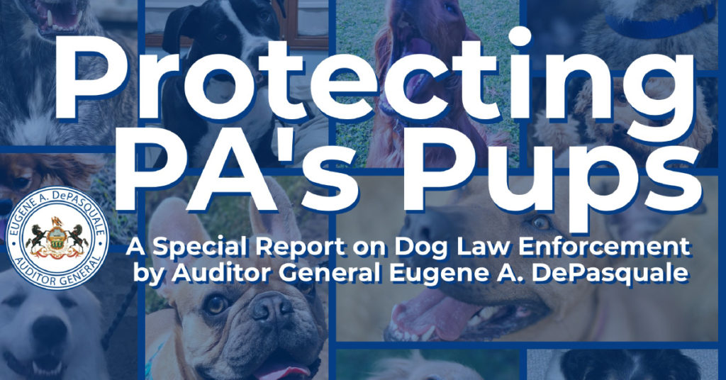 Auditor General Dog Law Request