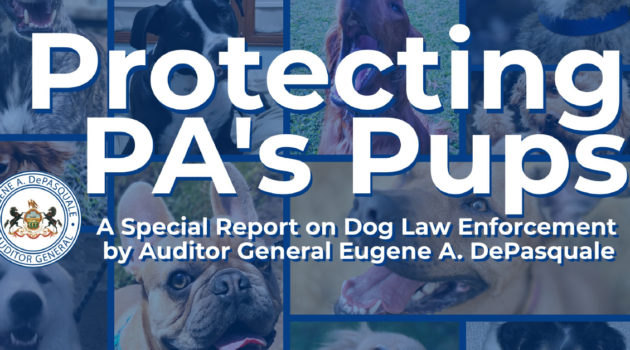 Auditor General Dog Law Request