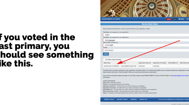 Check Mail-in Ballot Stauts