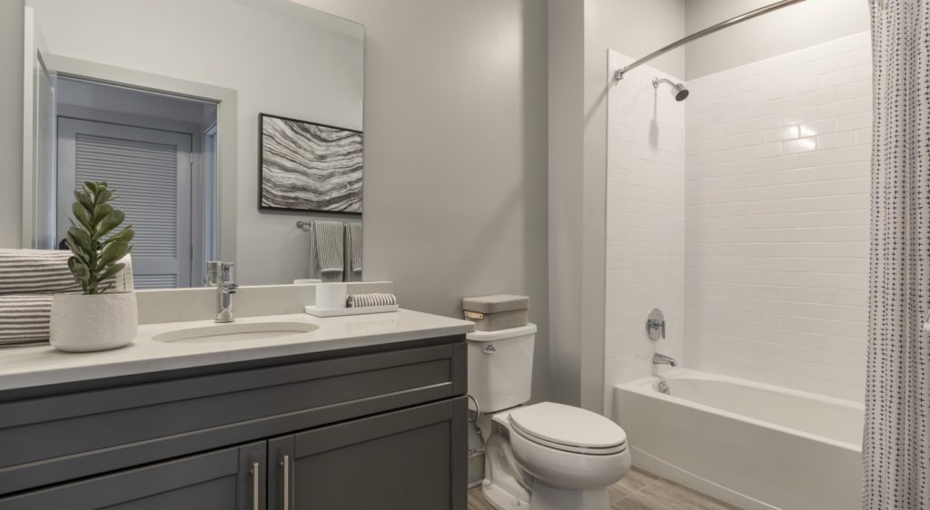 Delwyn the Bathroom