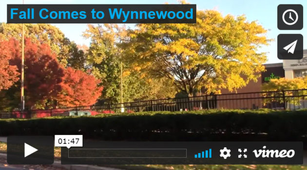 Fall Comes to Wynnewood