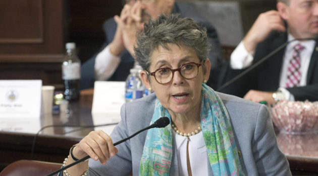 Mary Jo Daley Don't Mail Your Ballot