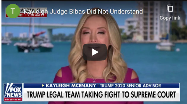 Kayleigh McEnany Judge Misunderstood