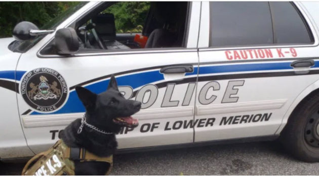 K-9 Murphy 2016