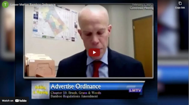 Lower Merion Bamboo Ordinance