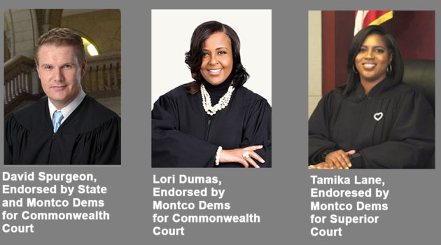 Endordsed Judicial Candidates