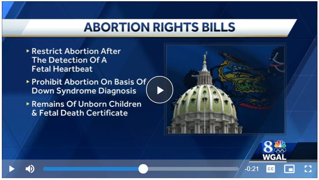Heartbeat Bill