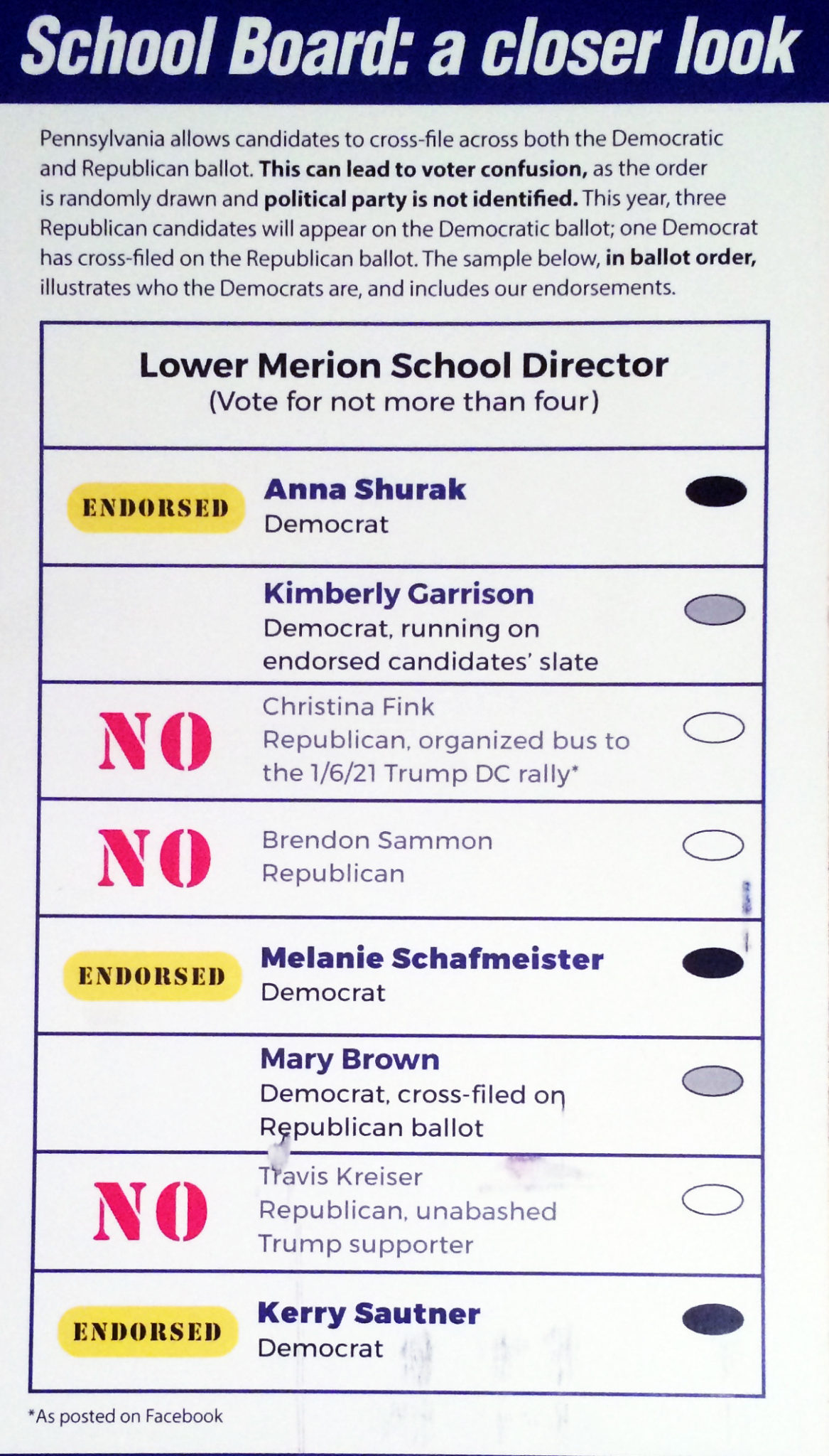 lower merion township elections