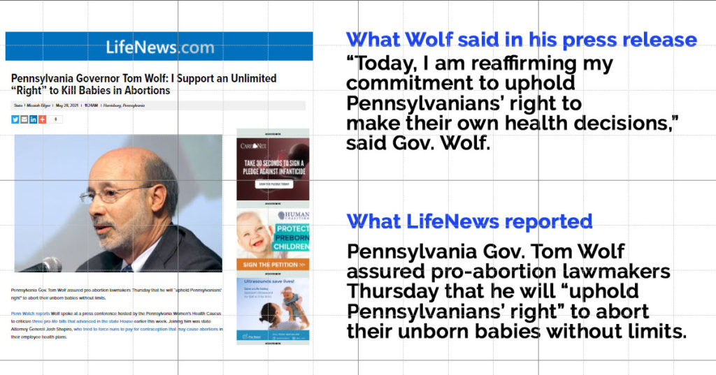 Life News vs Wolf