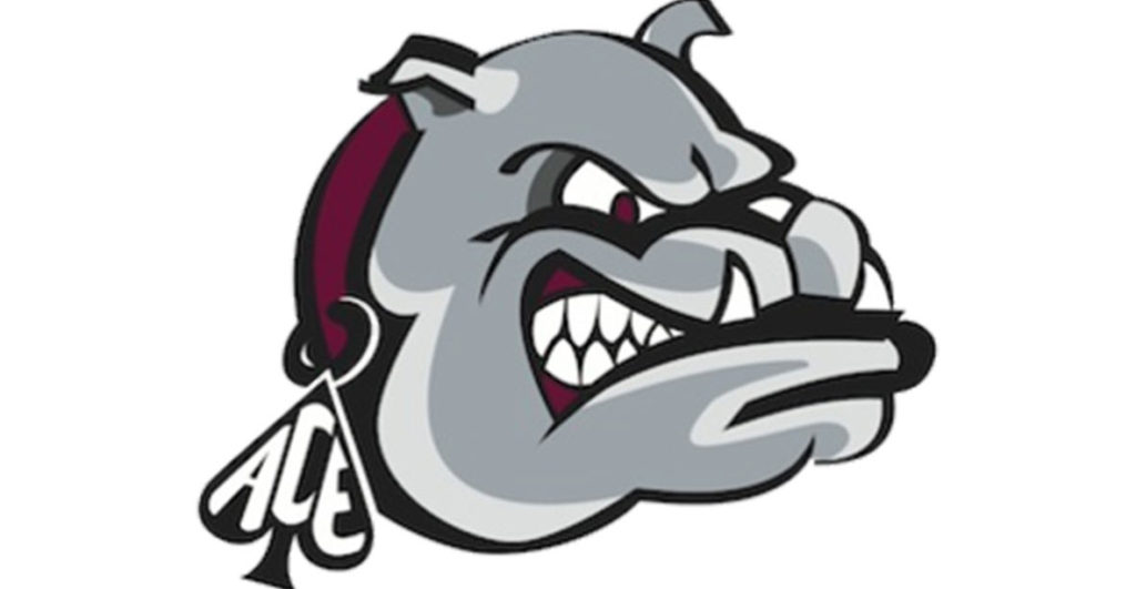 Lower Merion Bulldog
