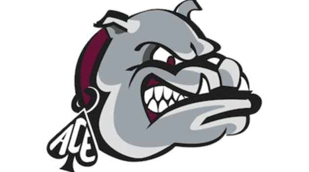 Lower Merion Bulldog