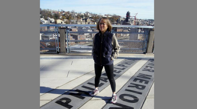 Manayunk Bridge Philly Lower Merion Boundary
