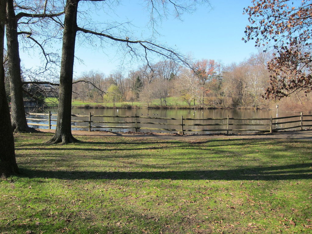 Duck Pond Haverford College