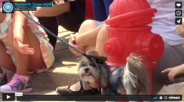 Narberth Dog Parade