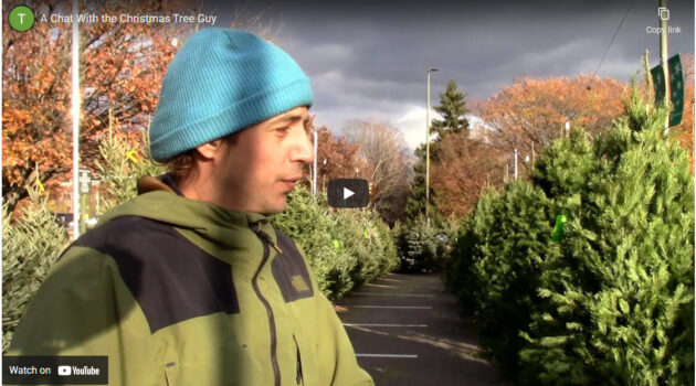 A Chat With the Christmas Tree Guy at Wynnewood Shopping Center