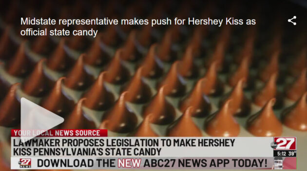 Hershey Kiss State Candy