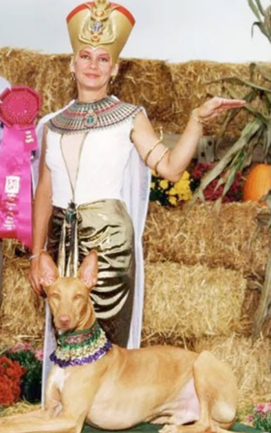 Dog Show at Oaks
