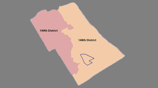 LM PA House Districts