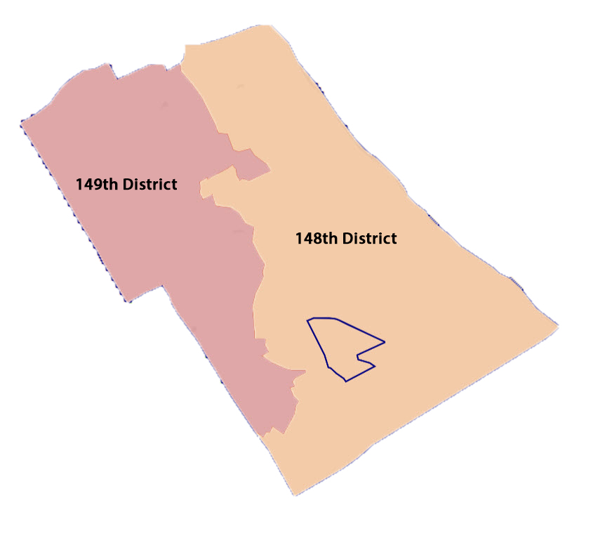 LM Districts