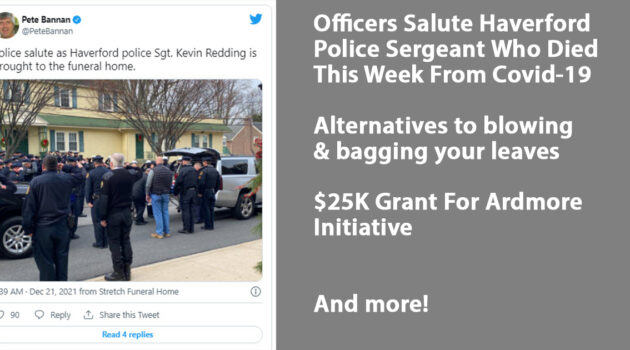 Tweets and Grams December 22