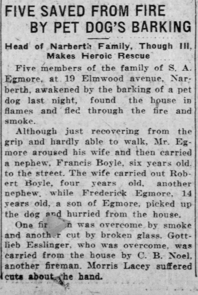 Saved by Dog Barking