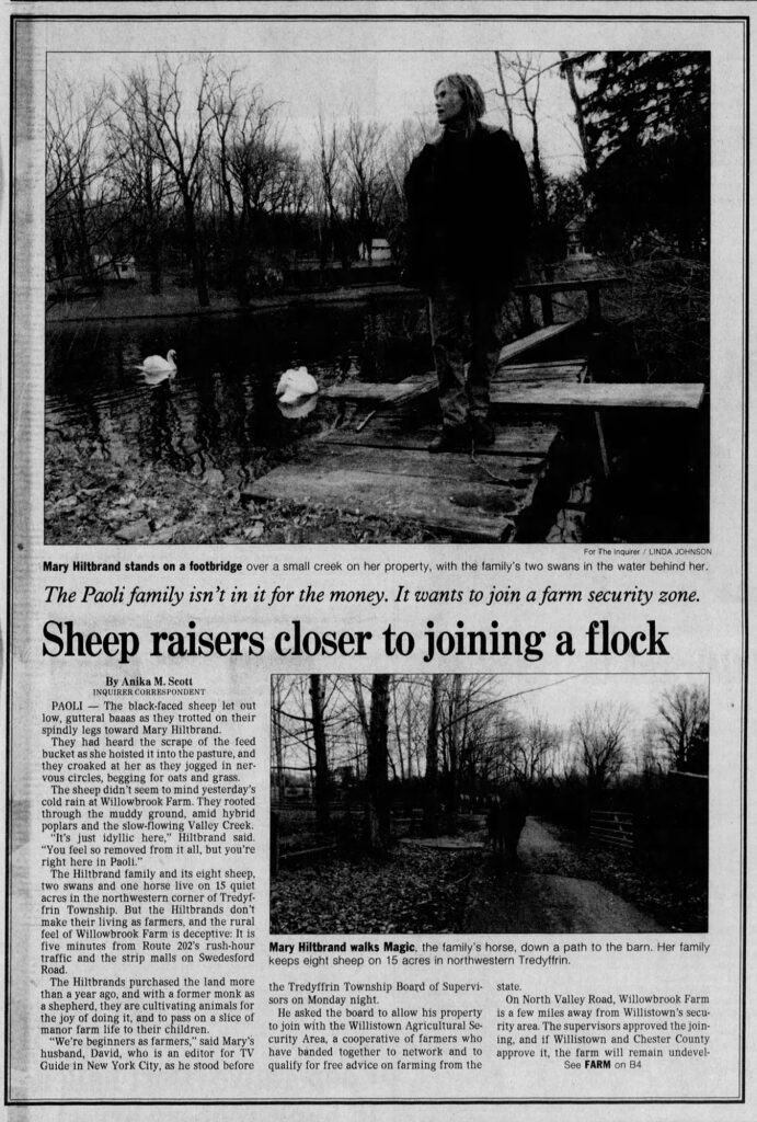 Paoli Sheep