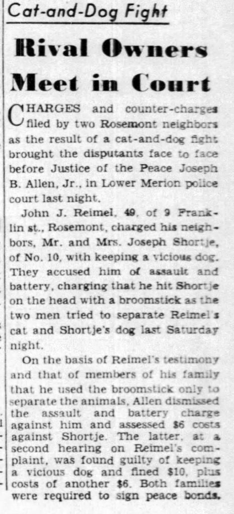 Rosemont Cat and Dog