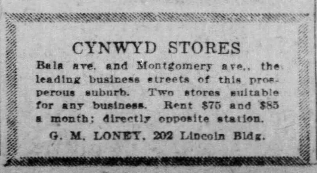 Cynwyd Stores