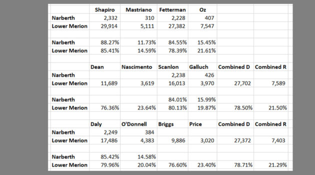 Lower Merion Narberth 2022 Election Summary