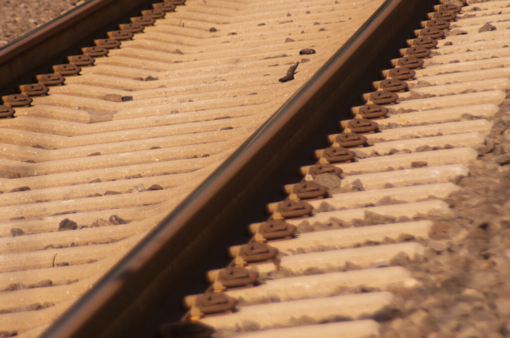 Tracks at Merion Station
