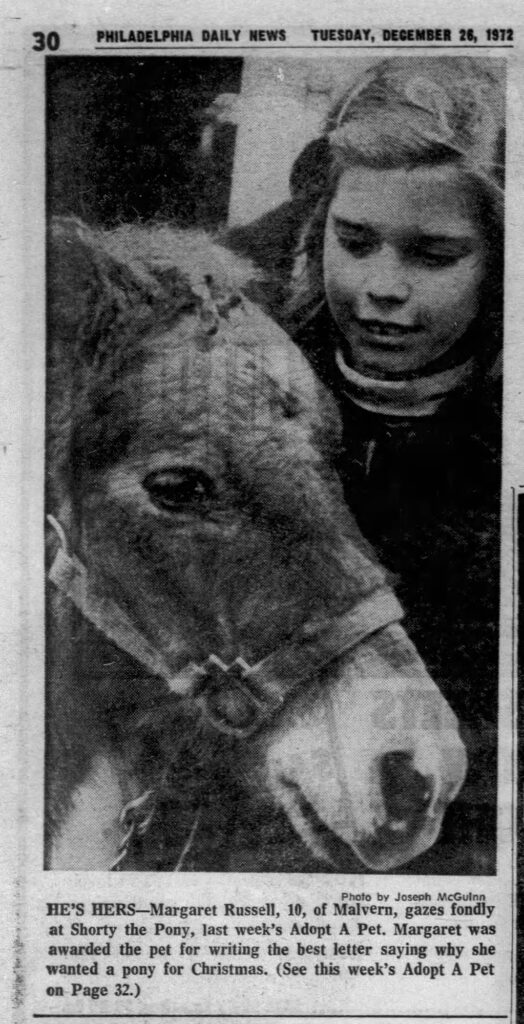 Malvern Pony