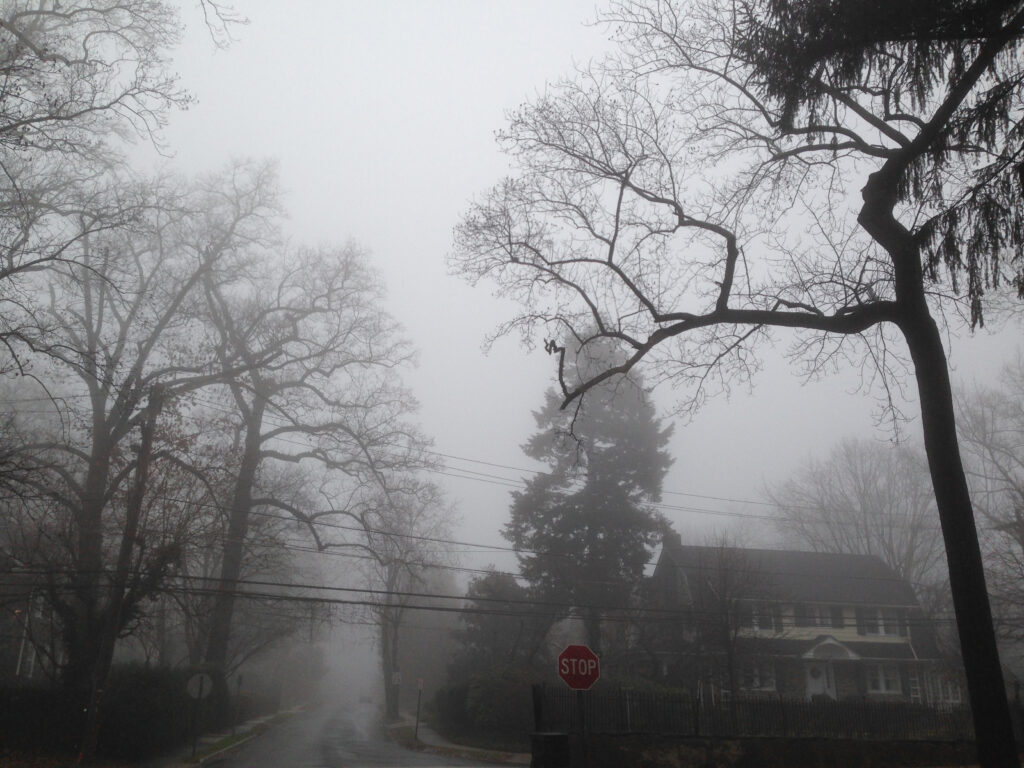 Honey Suckle and Wynnewood on Foggy Morning January 4