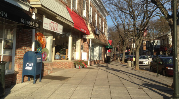 Narberth Sidewalk Winter of 2015 FB