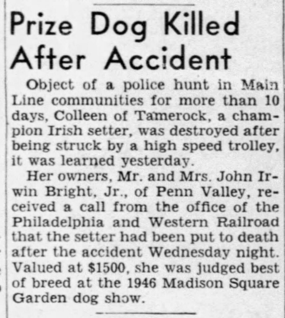 Penn Valley Prize Dog