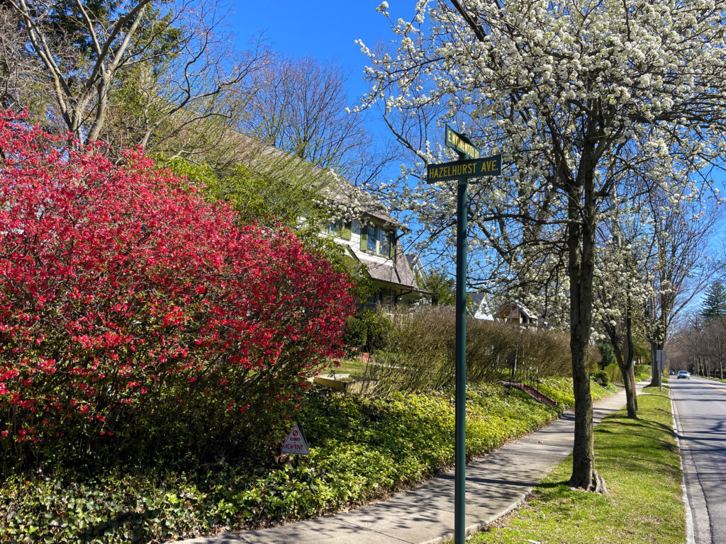 Early Spring in Merion