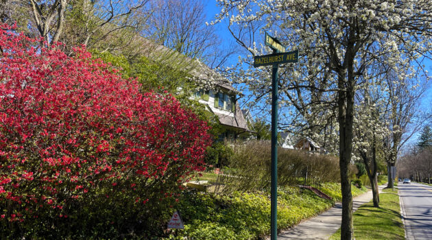 Early Spring in Merion