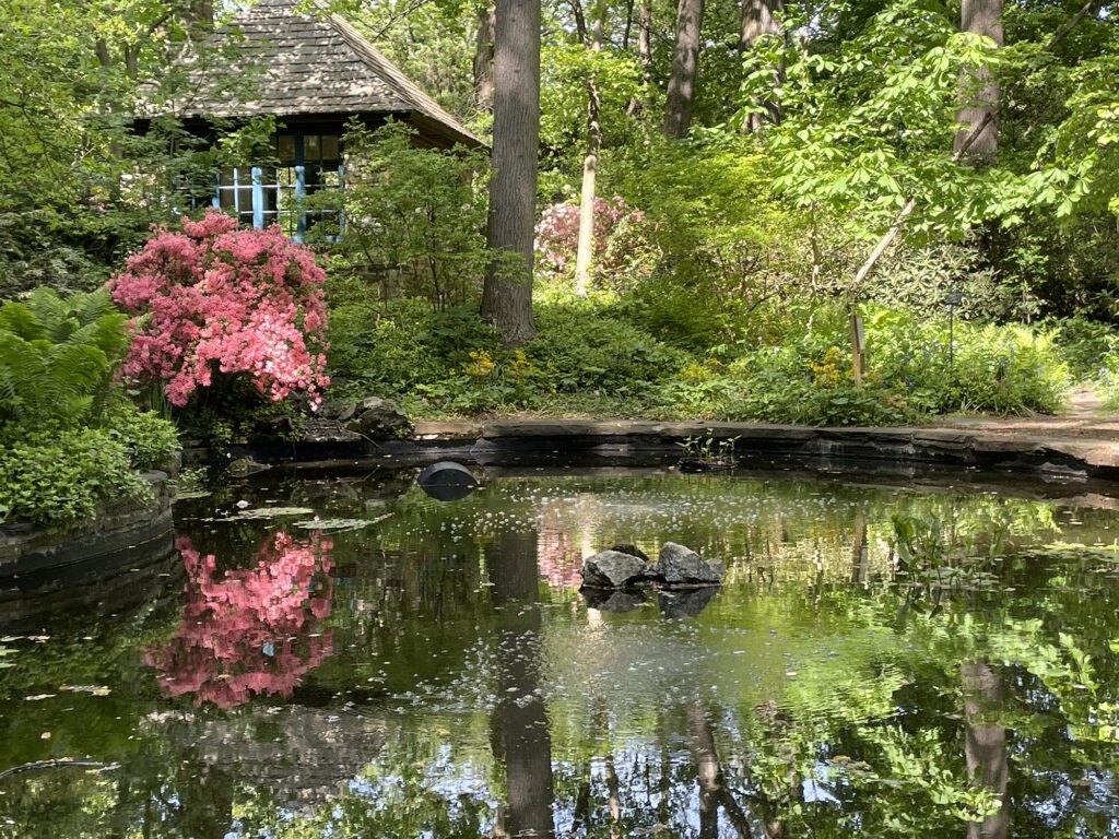 Barnes Arboretum