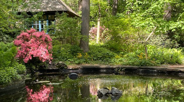 Barnes Arboretum FB