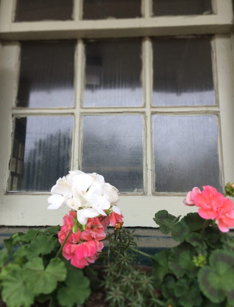 Flower Box At Merion Station