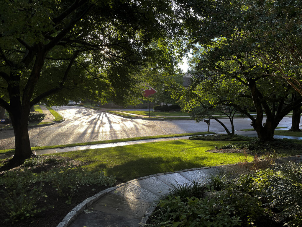 Wynnewood - Sunshine and Showers