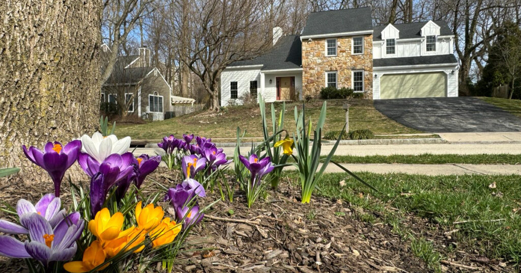Croci in Wynnewood