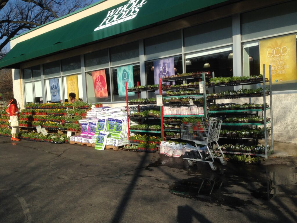 2015 The Old Whole Foods