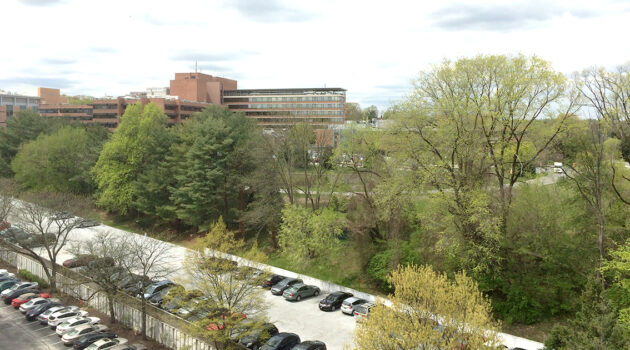 Lankenau Seen From The 9th Floor Of The Greenhill 2015