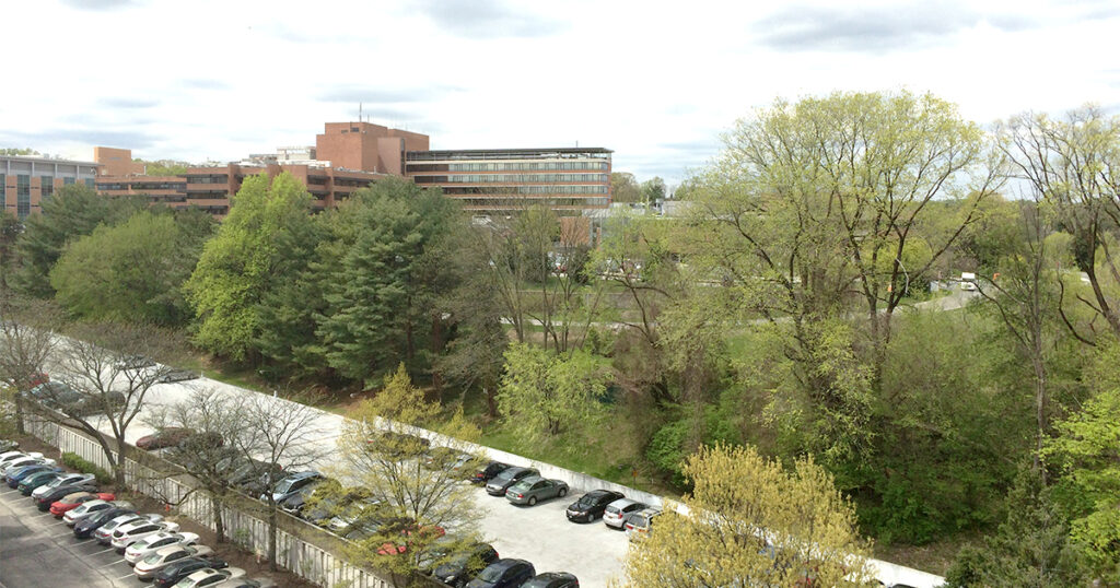 Lankenau Seen From The 9th Floor Of The Greenhill 2015
