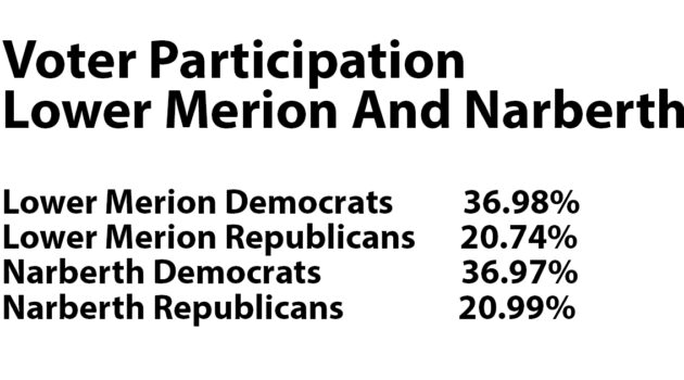 Voter Turnout LM Narb 2024 Primary