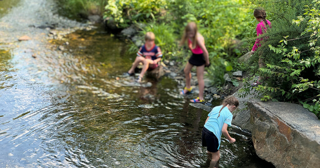 Kids Playing In the Creek - Shortridge