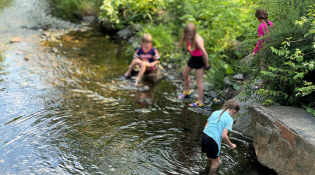 Kids Playing In the Creek - Shortridge